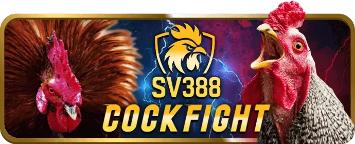 Ưu đãi hoàn trả hàng ngày fiv88